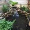 randyscott278